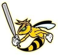 hornets