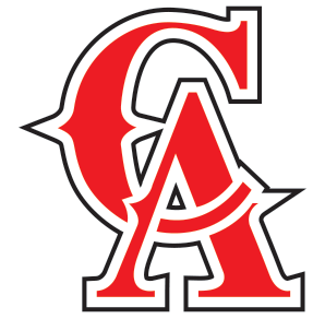 New Adrenaline Logo